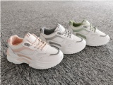 New Arrival