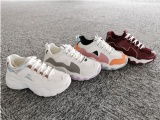 New Arrival