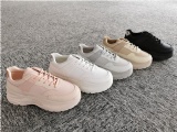 New Arrival
